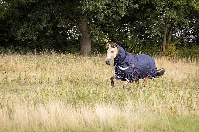 LeMieux Kudos 200g Turnout Blanket - 1680Denier Waterproof Outer - Detachable Neck Inlcluded - Navy - 75"