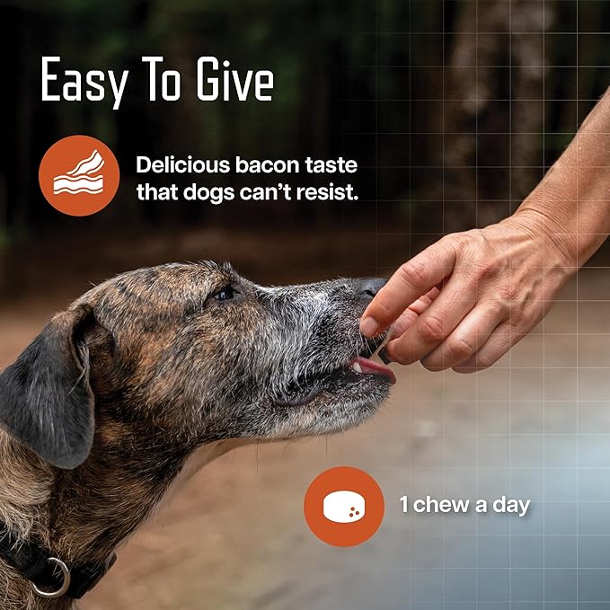 Virbac URSOLYX Soft Chews for Dogs | Muscle Health Support for Senior, Active or Recovering Dogs, Small | 60 Count 2- Month Supply
