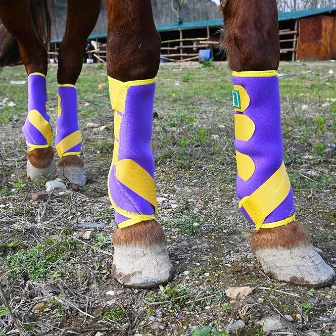 Equine Sport Horse Boots Set of 4 – Neoprene Leg Protection with Durable Hook & Loop Straps, Breathable & Comfortable Fit for Training, Riding, and Performance（Purple, Medium）