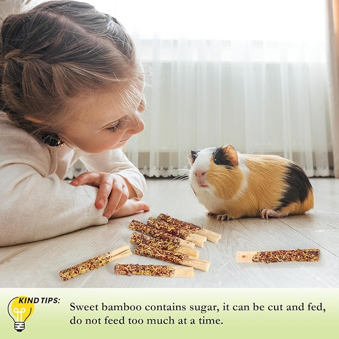 Abizoo Natural Rabbit Chew Toys - 10 Sweet Bamboo Sticks for Rabbits, Guinea Pigs, Chinchillas & Hamsters - Healthy Wooden Snacks for Teeth