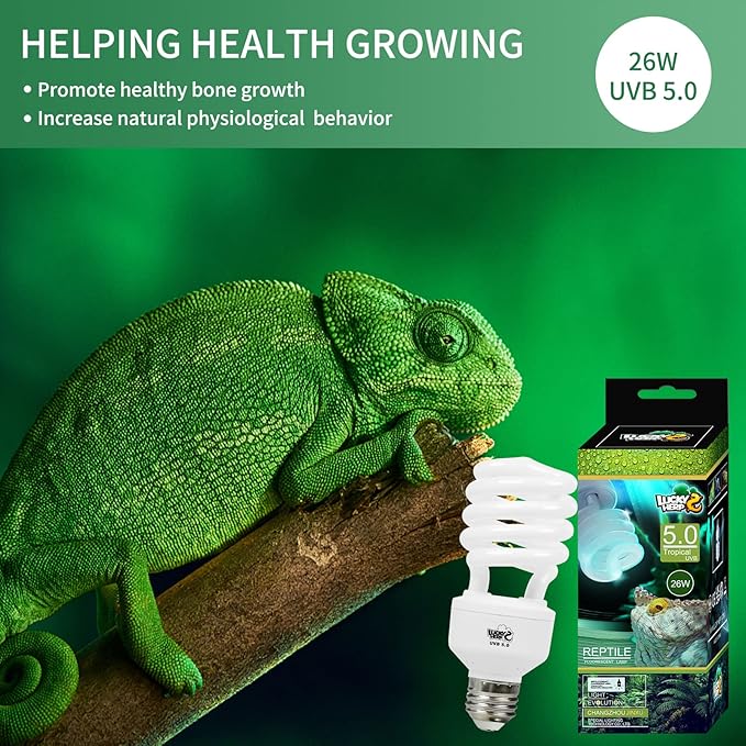 LUCKY HERP Reptile UVA UVB Light 5.0 26W Compact Fluorescent Tropical Terrarium Lamp