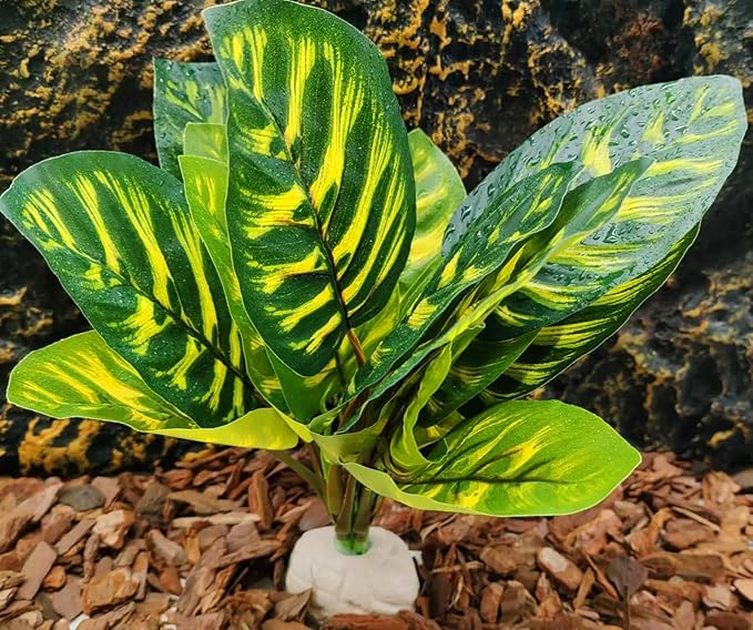 Reptile Terrarium Decor Plants,Amphibian Habitat Decor,Fake Plants for Bearded DragonTank Accessories fit Leopard Gecko Lizard Chameleon Snake Tortoise (Calathea makoyana -C)