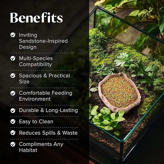 Gecko Cave Reptile Feeding Tray – Naturalistic Pet Dish for Lizards, Snakes, Bearded Dragons, Tortoises & Turtles - Sandstone