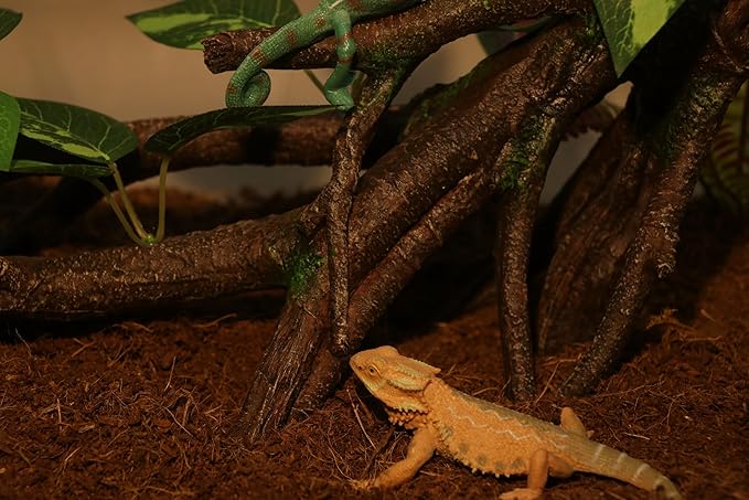 AQUA KT Reptile Climbing Branch Tree Trunk with Leaves for Lizard Bearded Dragon Snake Gecko Leopard Chameleon Frog Climbing Rainforest Terrarium Habitat Decoration