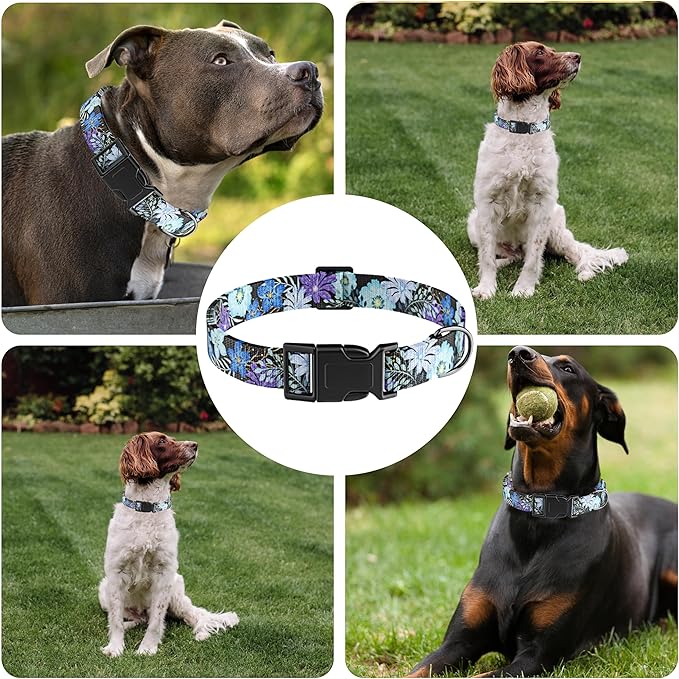 Dog Collar for Boys & Girls, Puppy Collar for Small to Large Dogs, Adjustable Soft Pet Collar with Safety Buckle for Male & Females (Purple Floral, M)