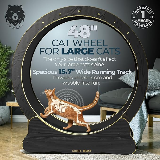 Gold 48'' XL Cat Wheel – Safe, Quiet & Stable Exercise Wheel for Large Indoor Cats up to 45 lbs – 15.7'' Extra-Wide Surface Fits 2 Cats Side by Side & Prevents Wobbling, 1-Year Warranty