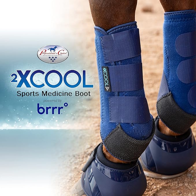 Professional's Choice 2XCOOL Sports Medicine Horse Boots | Protective & Breathable Design for Ultimate Comfort, Durability & Cooling in Active Horses | 2 Pack