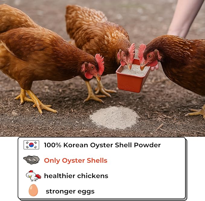 | Oyster Shell Flour 1lb – Finely Ground Calcium Material for Chickens, Ducks, Birds, Reptiles, Amphibians, and More – Crushed Oyster Shell Alternative | 굴껍질가루