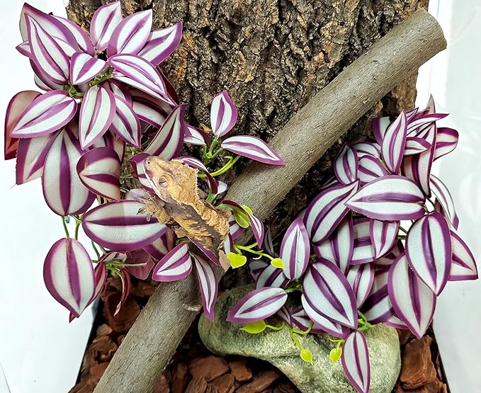 Woyrise 2 Pack Reptile Plants, Terrarium Hanging Plant Vines, Artificial Leaves with Suction Cup, Bearded Dragon Tank Accessories for Gecko Lizard Snake Frog Tortoise Decorations - Zebrina Purple