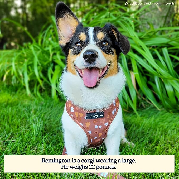 Lucy & Co. Cute Reversible Dog Harness Walking Halter - Best Designer Pet Harnesses for XS - XL Dogs - Padded Adjustable Vest for Easy Walking (Small, Chocolate Meadows - Brown & White Floral)