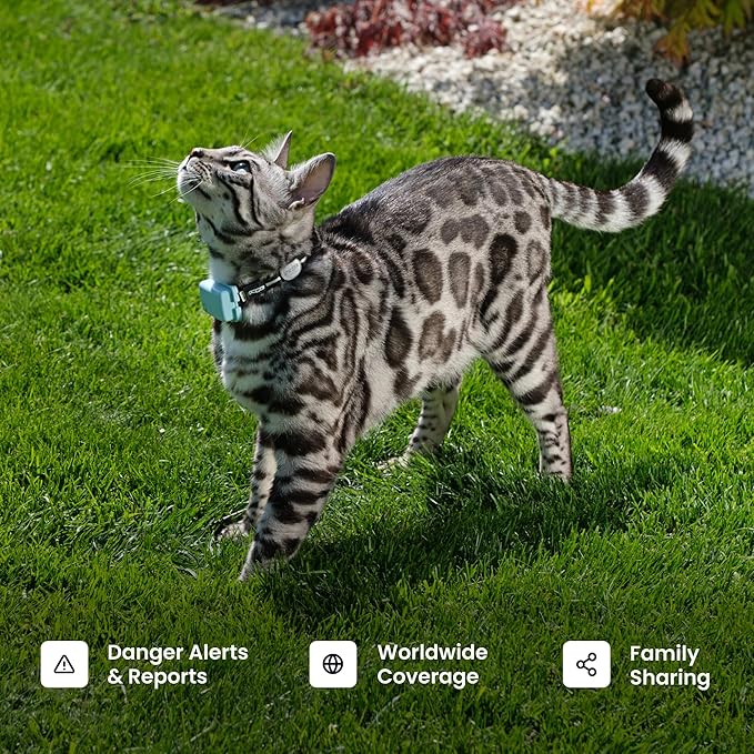 Tractive Smart Cat GPS Tracker | Real-Time Location & Wellness Monitoring for Cats 6.5 lbs+ | Territory & Location History | Up to 5-Day Battery | Breakaway Collar Included (Brown)