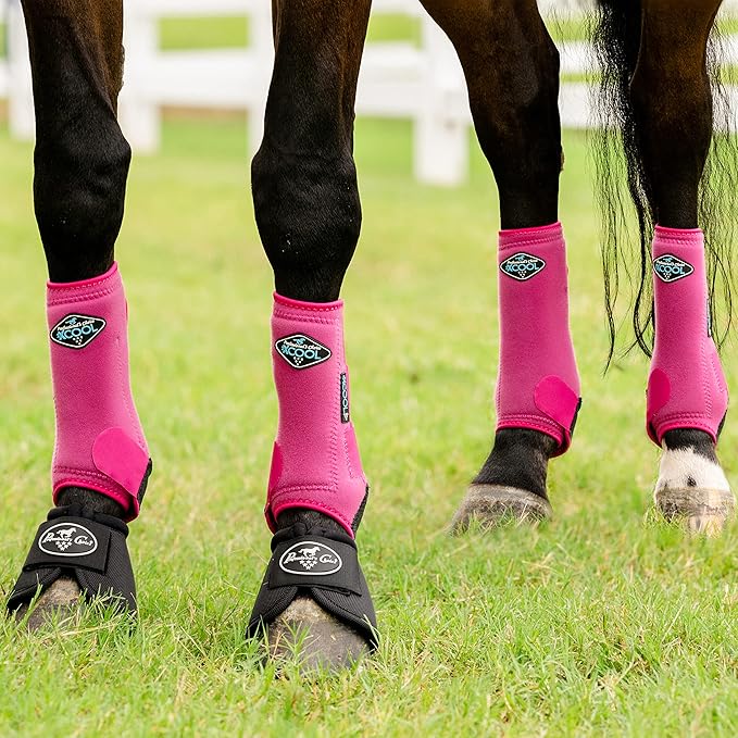 Professional's Choice 2XCOOL Sports Medicine Horse Boots | Protective & Breathable Design for Ultimate Comfort, Durability & Cooling in Active Horses | 2 Pack