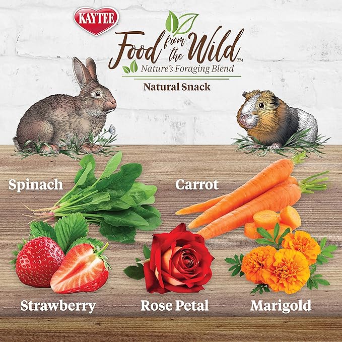Kaytee Food from The Wild Natural Snack for Pet Rabbits, Guinea Pigs And Other Small Animals, 1 Ounce