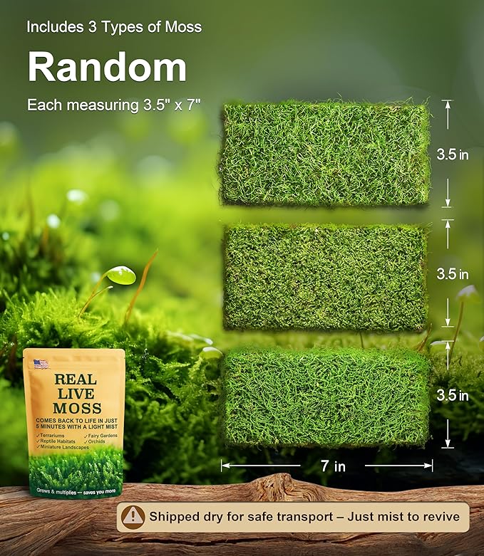 Live Moss Variety Pack – 3-Pack Mixed Mosses (Each 3.5" x 7") – Real Sheet Moss for Terrariums, Bonsai, Reptile Tanks, Succulents & DIY Plant Crafts, Living Moss for Terrarium, Indoor planters