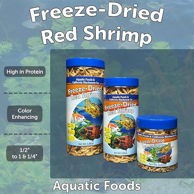 Aquatic Foods Inc. Red Shrimp, Freeze Dried 1/2" to 1 & 1/4" Floating Red River Shrimp for Cichlids, All Tropical Fish, Koi & Pond Fish, Aquatic Turtles, Reptiles, Rodents 1oz Canister