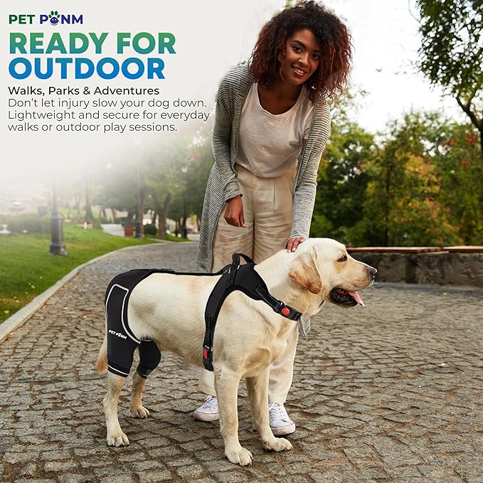 Comfortable Dog Knee Brace for Both Hind Legs with Harness - for ACL Tear, Luxating Patellae, Osteoarthritis & Instability - for Recovery & Injury Prevention in Active/Aging Dogs - (XLarge)