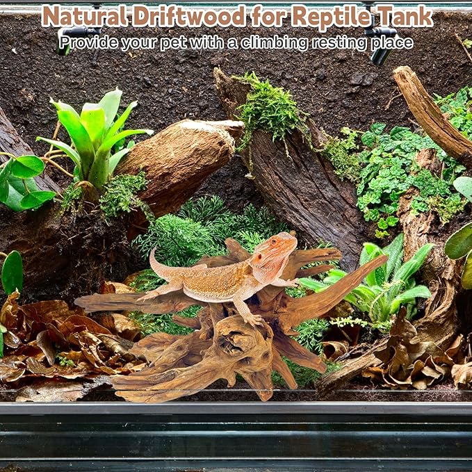 PINVNBY Large Driftwood for Aquarium Fish Tank Decorations Natural Assorted Branches Bearded Dragon Tank Accessories Terrarium Decor for Aquarium Decor (11-18 inches/1 Pack)