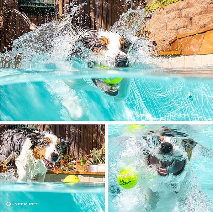 Hyper Pet Tennis Balls for Dogs - 12 Pack 2.5'' Durable Non-Toxic Outdoor Dog Toys Balls with Mesh Bag, for Fetch & Excercise, Medium to Large Breeds (Non Squeaky)