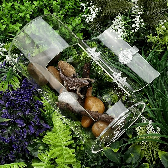 Jumping Spider Enclosure, 11.5”*6”*6”, Air Hole 3/64" Micro Habitat Terrariums, Arboreal Reptile Tank with Front Opening Door,Tarantula Enclosure, Plant Greenhouse