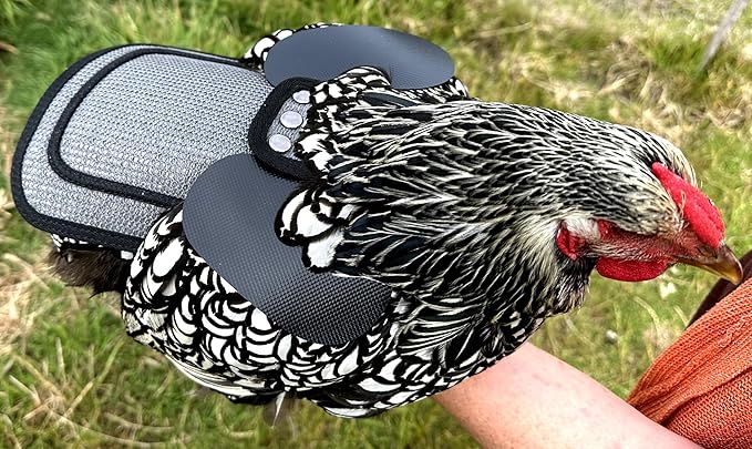 DOWN UNDER OUTDOORS 4 Pack Medium-Large Saddles with Adjustable Straps, Poultry Saver, Protector, Apron, Supplies, Care Products (Grey Mesh)…
