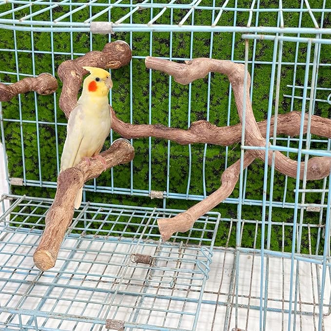 Allazone 5 PCS Natural Grape Stick Perch Swing Chewing Toys for Parrot Cages, Cockatiels, Parakeets, Finches - Bird Standing Stick
