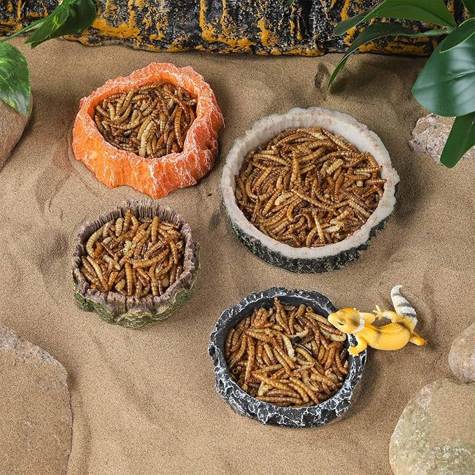 IBWell 2pcs Reptile Water Bowl with Feeding Tweezers - Food Dish for Lizard, Snake, Tortoise & Small Animals - Gray Tree Stump
