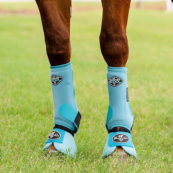 Professional's Choice 2XCOOL Sports Medicine Horse Boots | Protective & Breathable Design for Ultimate Comfort, Durability & Cooling in Active Horses | 2 Pack