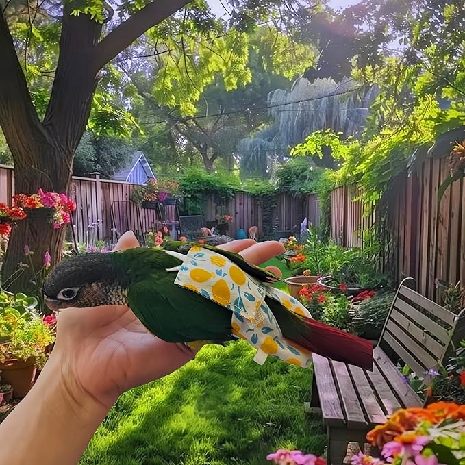 5 Pcs Bird Diapers Bird Harness Flight Suits Diapers Reusable Parrot Nappy with Waterproof Inner Layer Washable Cute Urine Wet Suit Costume for Cockatiel Conure Budgie Macaw Parakeet,M