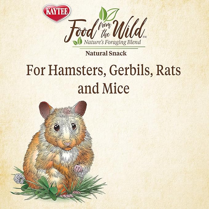 Kaytee Food, Small Pet Snack | Natural | For Rodents | 2 Ounces | Pack of 2
