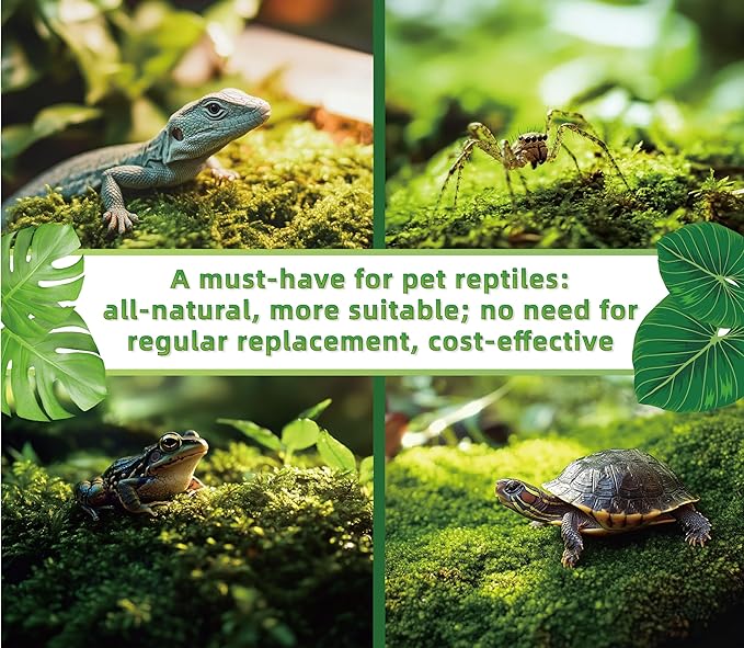 Moss Terrarium Beding Live Moss Terrarium Moss for Reptiles Peat Moss for Reptiles Habitat Bedding Moss for Snakes Turtle Frog Gecko and Other Reptiles Substrate Composite 3