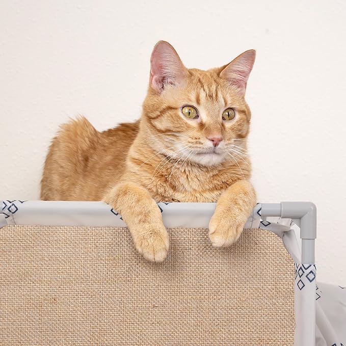 Kitty City Cozy Cat Play Furniture, Hideaway Cat Tunnel