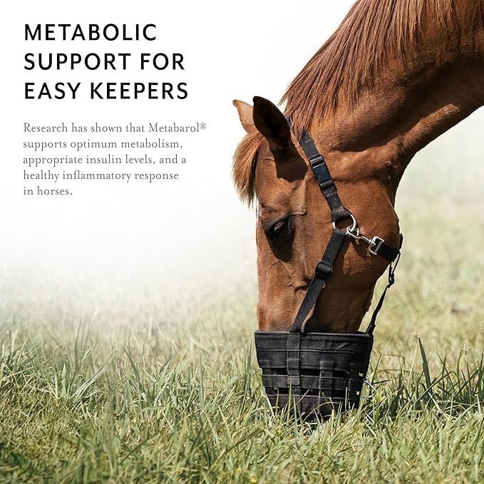 Metabarol Horse Supplement Pellets with Resveratrol, Metabolic Support Supplement for Horses, Equine Metabolic Supplement, Equine Care Products, 3.3 lbs