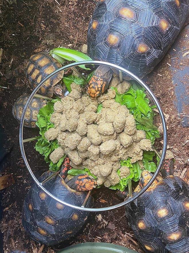Wontee Tortoise Feeding Dish Reptile Water Dish Food Bowl Stainless Steel Feeder for Tortoises Lizards Turtles Chameleon (M)