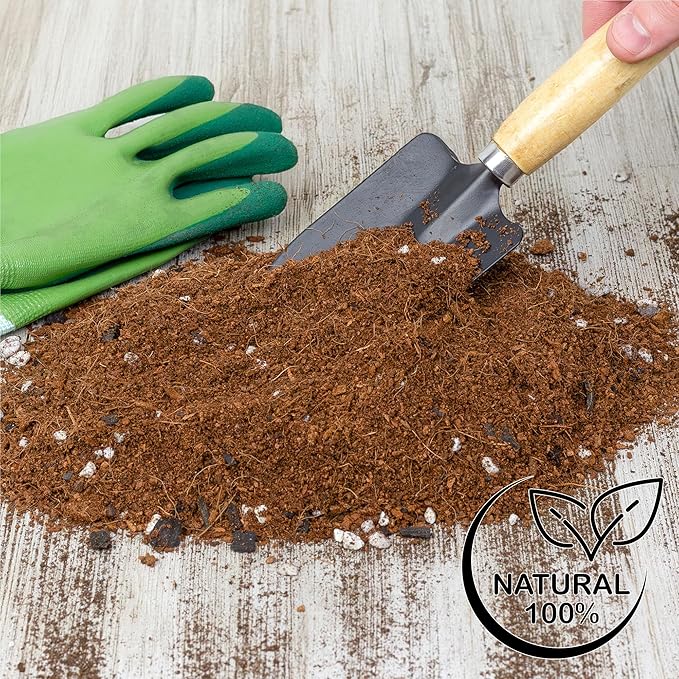 Soil Sunrise Terrarium Potting Soil Mix (8 Quarts) w/Blended Filtering Charcoal Custom Made for Terrariums
