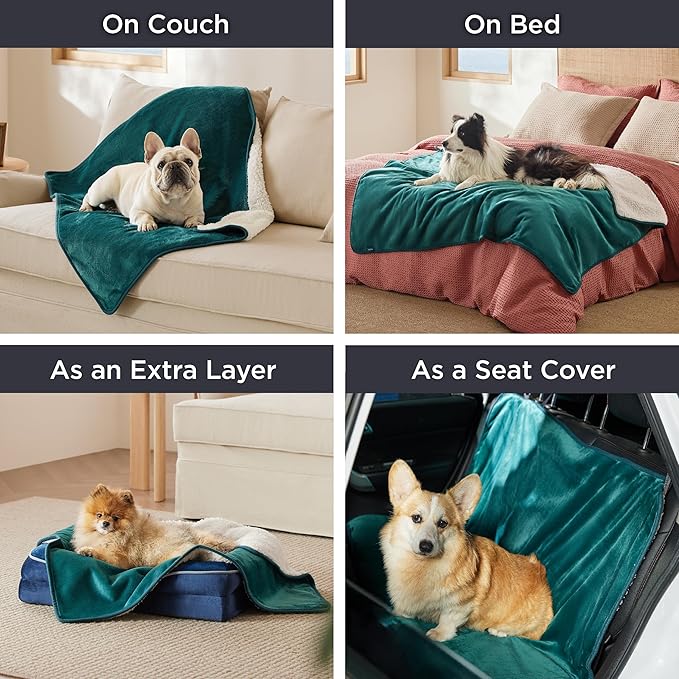 Bedsure Cat Blanket for Indoor Cats - Waterproof Calming Cat Blankets for Couch Bed Protection, Sherpa Fleece Pet Blanket, Soft Plush Reversible Throw Furniture Protector, 60"x50", Green