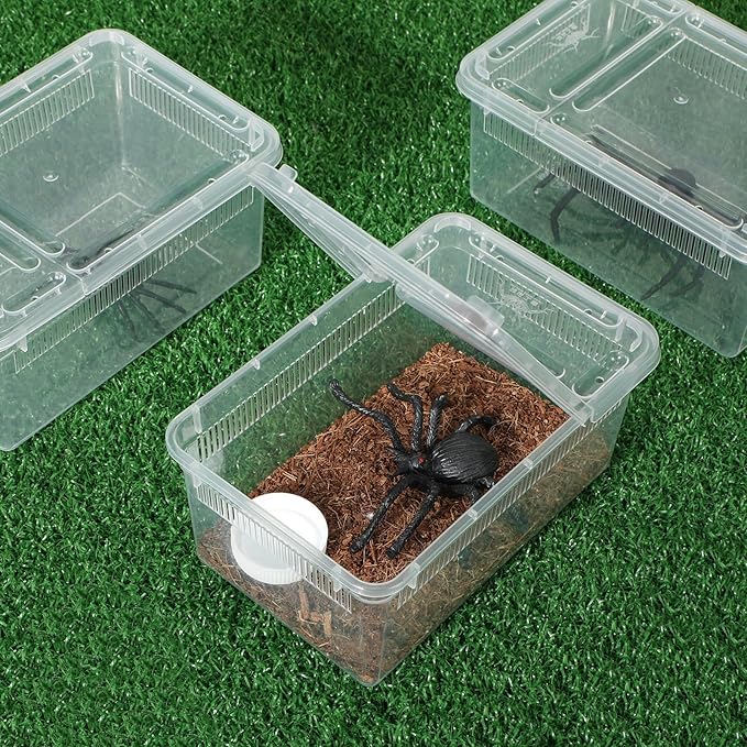 Irenare 8 Pcs Reptile Breeding Box Plastic Spider Terrarium Tarantula Feeding Box for Bearded Dragon Lizard Spider Gecko Scorpion(Vent Strips,Clear,5.9 x 3.9 x 2.5 Inch)