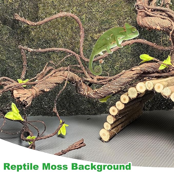 kathson Reptile Carpet, Natural Moss Mat for Terrarium, Bearded Dragon Tank Flooring Green Substrate Liner for Leopard Gecko Hermit Crab Lizard Tortoise (70.86" X 11.81")