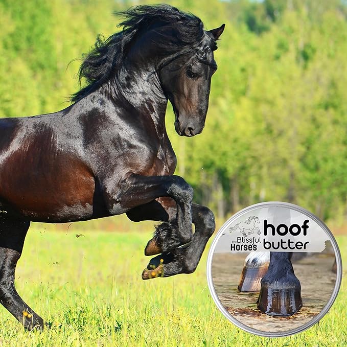 The Blissful Horses Hoof Butter All Natural Support for Your Horse's Hooves, 16-Ounce