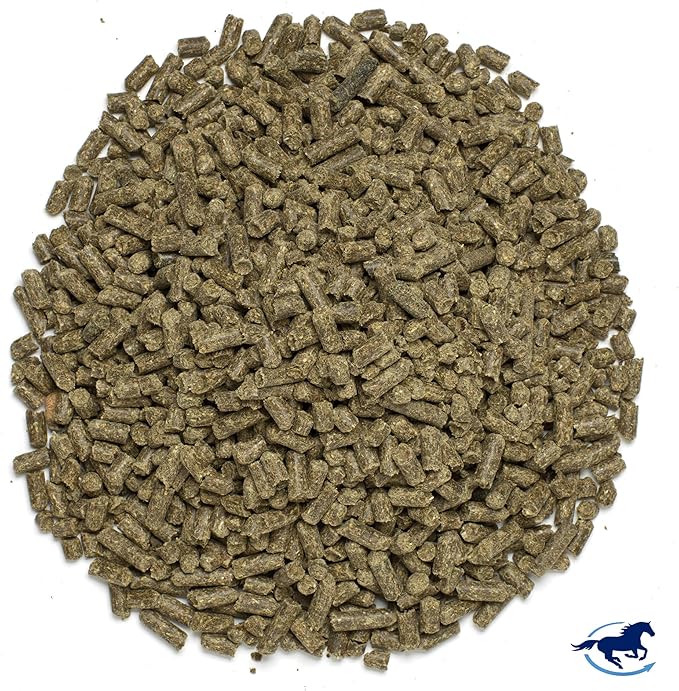 Smart & Simple MSM Pellets | Helps Manage Effects of Stress | Horse Supplement Aids in Cellular and Tissue Strengthening | 56 Servings | 2.4 lb Bucket