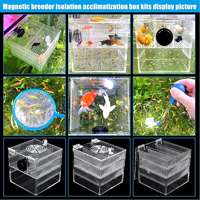 Magnetic Breeder Box for Tank Isolation Box Acclimation Hatchery Fish breeding Incubator with 3 Divider for Guppy Baby Betta Saltwater Anemones or Injured Fish（Sealed Bottom Version）