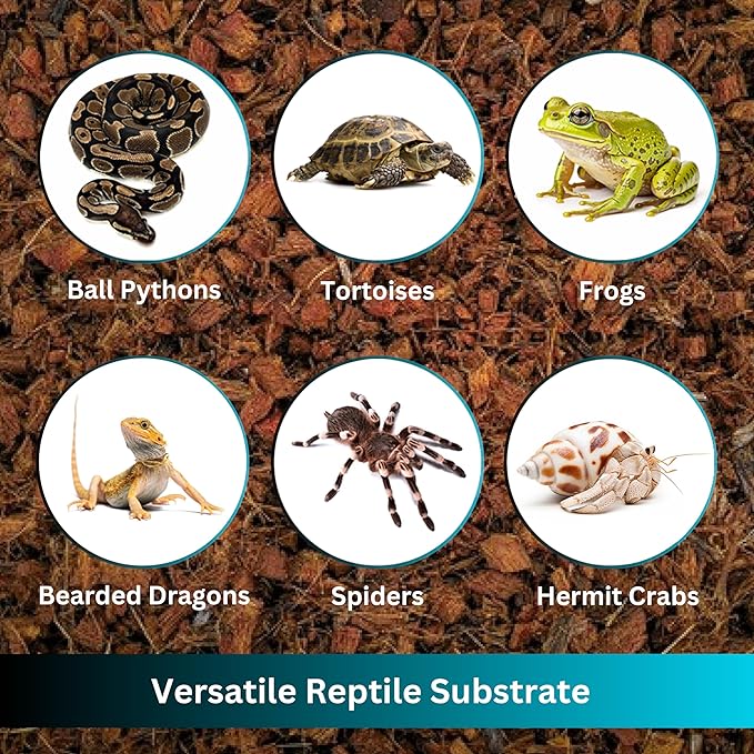 Premium Coconut Chip Substrate for Reptiles | 10 LB Compressed Block Expands to 72 Quarts | Natural Bedding for Ball Python, Tortoise, Bearded Dragon Habitats