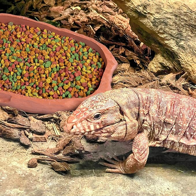 Gecko Cave Reptile Feeding Tray – Naturalistic Pet Dish for Lizards, Snakes, Bearded Dragons, Tortoises & Turtles - Terracotta