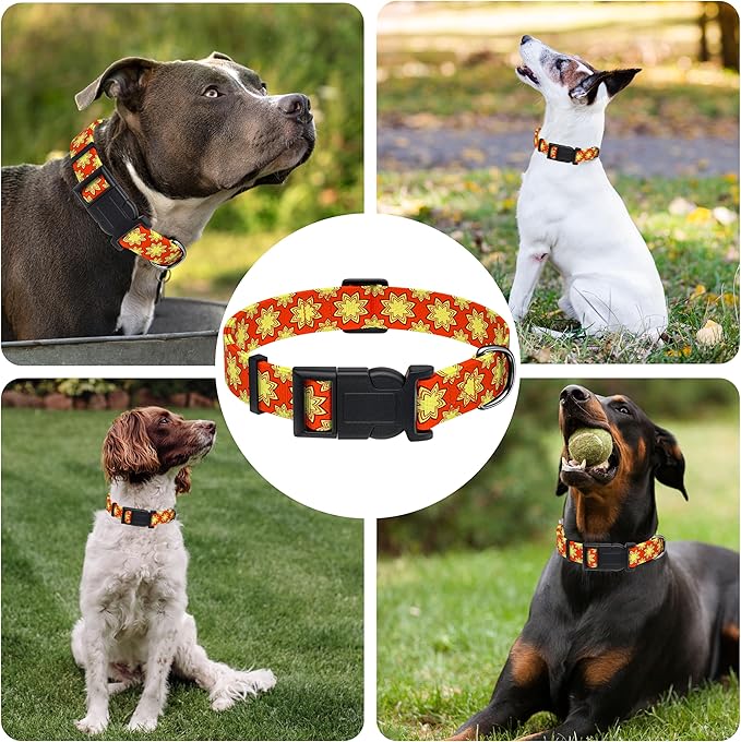 Dog Collar, Classical Indian Spirit Boys Girls Puppy Collar for Small Medium Large Dogs, Adjustable Soft Indian Pet Collar with Safety Buckle for Male Females(Yellow,XL)