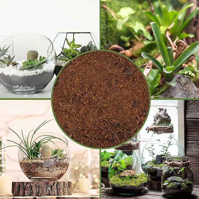Soil Sunrise Terrarium Potting Soil Mix (8 Quarts) w/Blended Filtering Charcoal Custom Made for Terrariums
