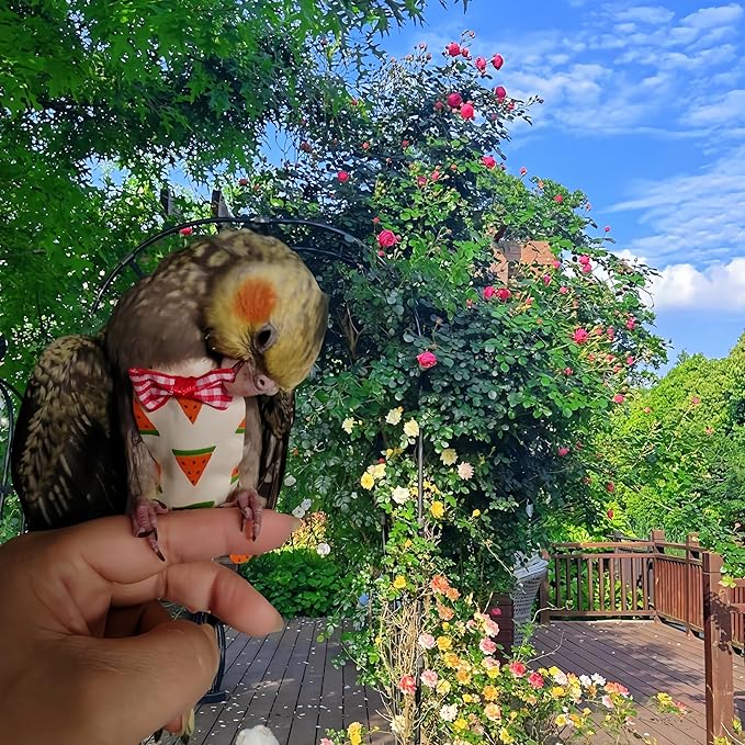 5 Pcs Bird Diapers Bird Harness Flight Suits Diapers Reusable Parrot Nappy with Waterproof Inner Layer Washable Cute Urine Wet Suit for Cockatiel Budgie Conure Macaw Parakeet Lovebird,S