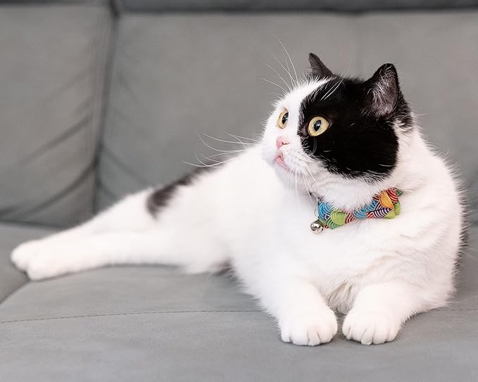 Collar for Cat Pet Breakaway with Bell Bowtie Detachable Bow Adjustable Safety Kitten Puppy Girl Boy 2pcs Kimono-Green & Purple
