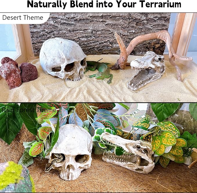 Tfwadmx Human and Crocodile Skull Decor, Snake Hide, Tarantula Enclosure Accessories, Resin Skull Reptile Terrarium Tank Decor for Geckos, Lizards, Spiders