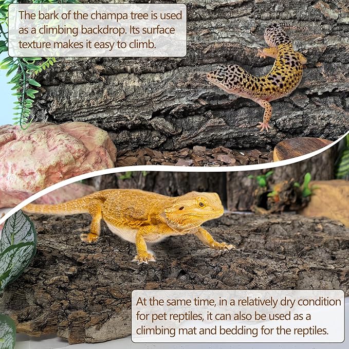 Hamiledyi Cork Terrarium Background 11.8x7.9in 6PCS Natural Reptile Cork Bark Flats Terrarium Board Bearded Dragon Climbing Wall Mat Tank Decor for Lizard Chamelon Snake Turtle Spider Crested Gecko