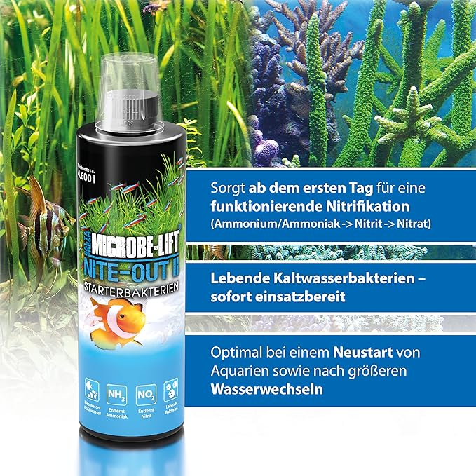 MICROBE-LIFT Nite-Out II Aquarium Bacteria for Start-up, Instantly Cycle Aquariums, Add Fish on Day 1, Rapid Ammonia and Nitrite Reducer for Freshwater & Saltwater Fish Tank, 64 Ounces (NITEH64)