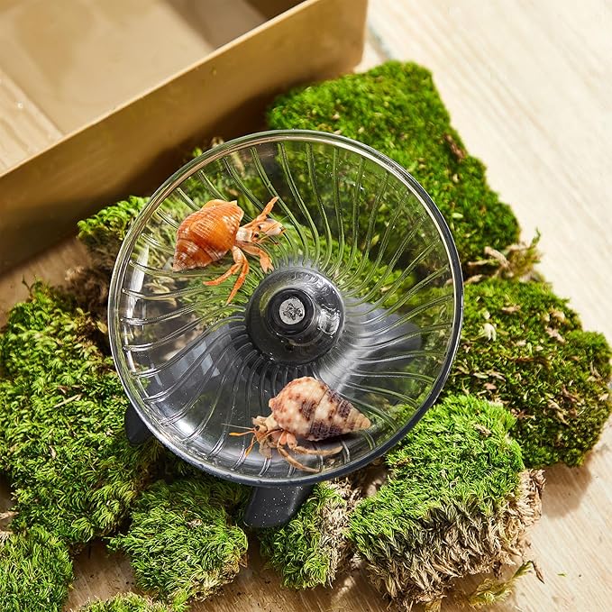 Poen Hermit Crabs Exercise Wheel Toy 4.13 x 2.95 x 3.34 Inch Silent Hermit Crab Running Tank Accessories Hamster Wheel Flying Saucer Small Animal Running Wheels(4.13 x 2.95 x 3.34 Inch)